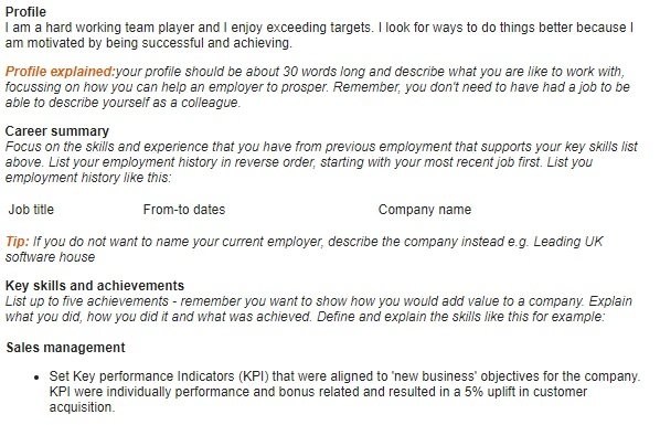 Chronological CV Template Example